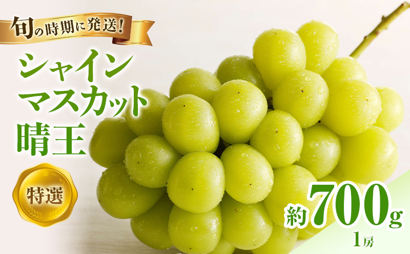 【2026年先行受付】 シャインマスカット 晴王 特選 大房 約700g 1房  化粧箱入 岡山県産 ぶどう 葡萄 ブドウ ギフト 御礼 プレゼント 御礼 御祝 御供 果物 くだもの フルーツ