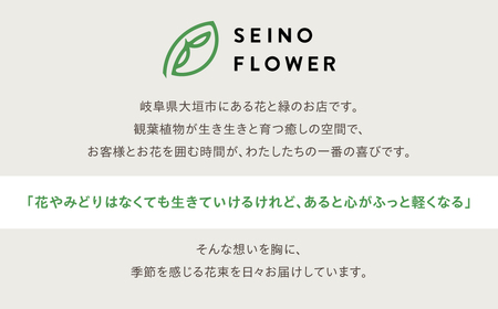 季節のお花  西濃フラワー 定期便 3回 Lサイズ