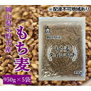 【ふるさと納税】【ふるさと納税】 岡山県玉野市産 もち麦 ダイシモチ 950g×5袋　【 お米 ダイシモチ もち麦 米 】　お届け：2024年5月31日まで （1ヵ月以内でお届けします）