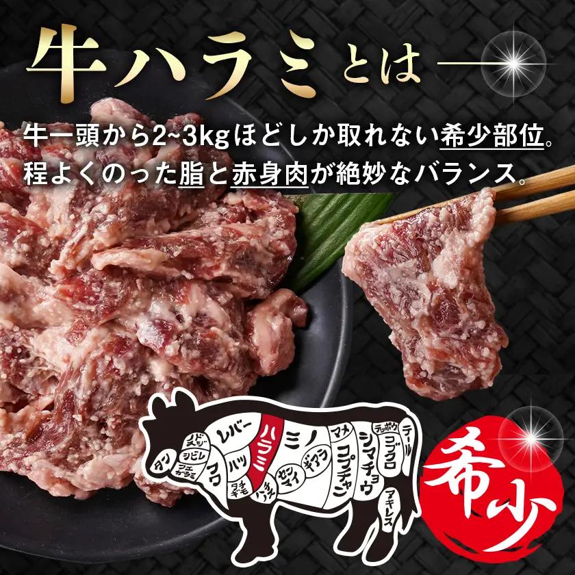 牛ハラミ 塩麹タレ漬け900g≪みやこんじょ特急便≫〔LG8J-33-025-900g-Q〕_(都城市)  味付き 牛肉 真空 小分け