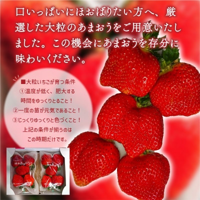 【2027年2月より順次発送】厳選大粒あまおう(約250-270g×4パック)(宇美町)【配送不可地域：離島】