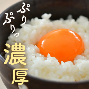紅花たまご セット 60個(10個×6パック) 卵 たまご 赤玉 鶏卵 黄身 白身 産みたて 卵かけ ご飯 親子丼 オムレツ 朝食 たんぱく質 新鮮 栄養 濃厚 甘み コク 山田鶏卵 送料無料 山形県