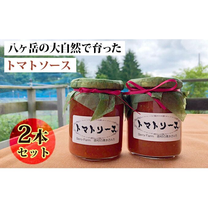 【ふるさと納税】八ヶ岳の大自然で育ったトマトソース2本セット　野菜加工品・ソース
