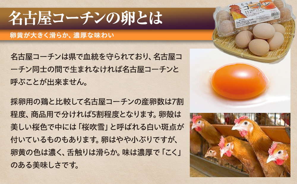 業務用　日本三大地鶏！！ 「純系　名古屋コーチンの卵」（90個）　本当に美味しい食べ物は調味料の味に負けません！