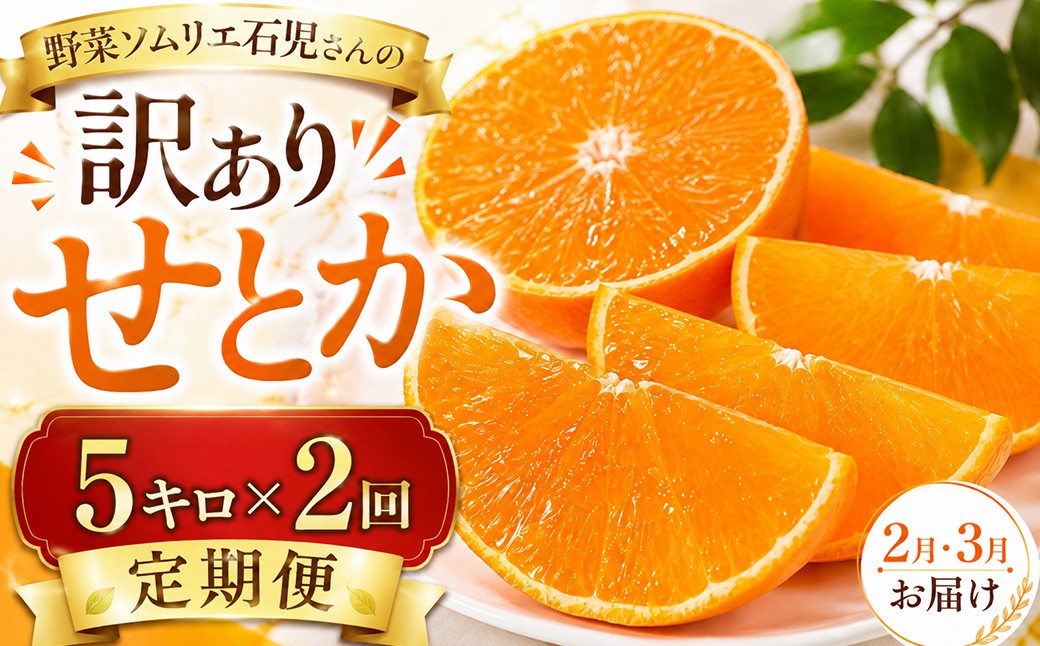 
                  【2027年先行予約】【訳あり・優品】野菜ソムリエ石児さんの訳ありせとか２回定期便（5キロ×2回）／ せとか みかん セトカ ミカン 蜜柑 柑橘 5kg 柑橘類 5キロ 訳あり ワケアリ フルーツ 先行予約 2回 頒布会 2月発送 3月発送 チョイス限定 ＜103-807＞
                