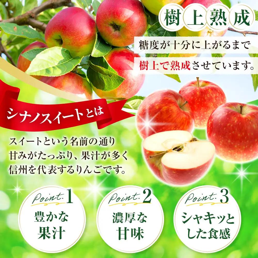フルーツファーム中村農園　【10月中旬発送 先行予約】樹上熟成　シナノスイート 5kg | りんご シナノスイート りんご