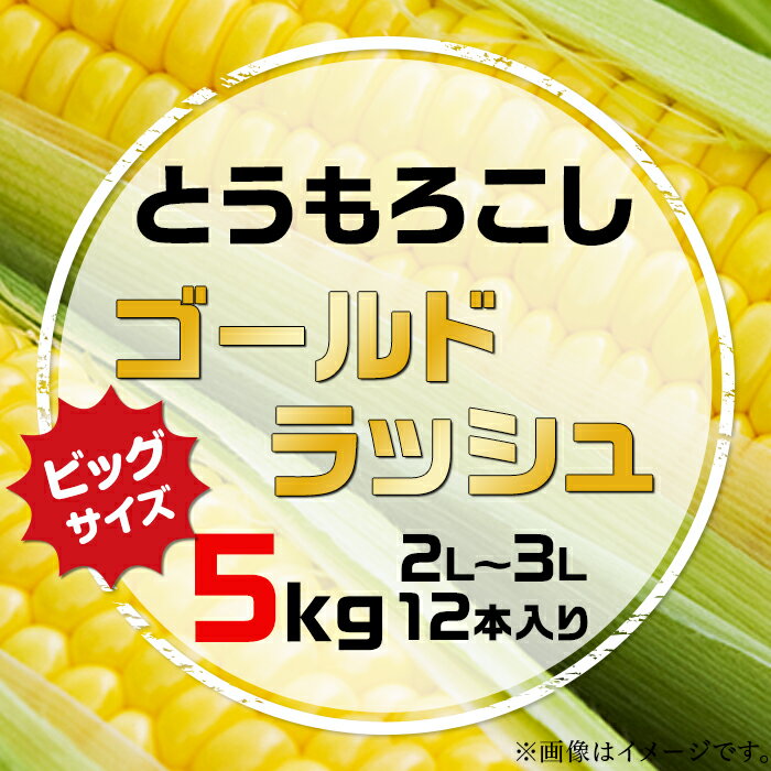 【ふるさと納税】スイートコーン「ゴールドラッシュ」5kg（2L～3L 12本入り）2401