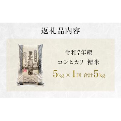 ふるさと納税 石巻市 〈先行受付〉米 令和7年産 コシヒカリ 精米 5kg 単品 こめ コメ お米 ご飯 白米 こしひかり |  | 03