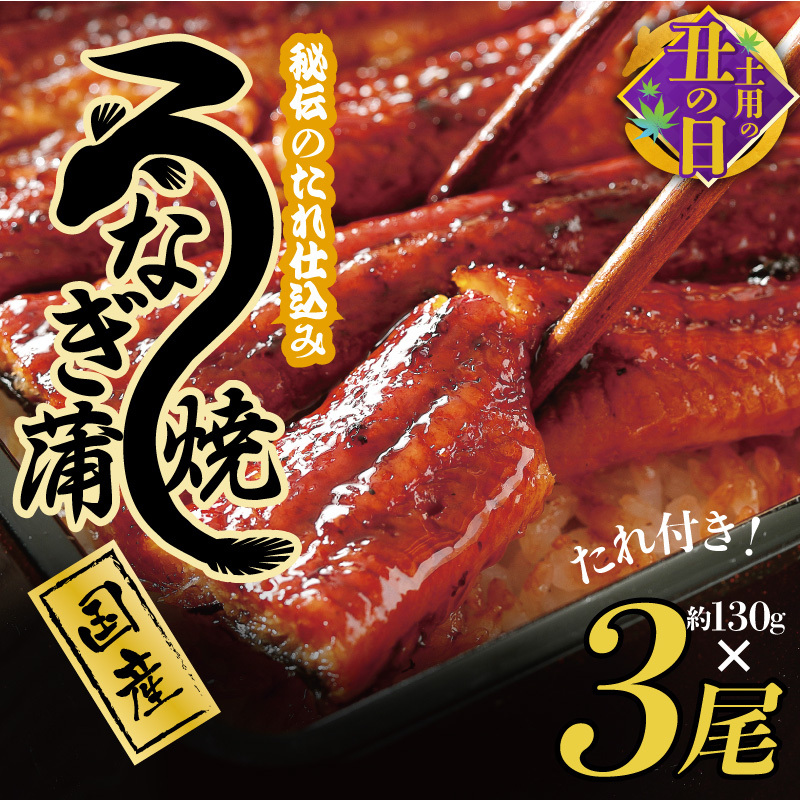 【土用の丑の日までにお届け】国産うなぎ 約130g×3尾  秘伝のたれ 蒲焼 鰻 ウナギ 無頭 炭火焼き 備長炭 手焼き 先行予約 G1855c