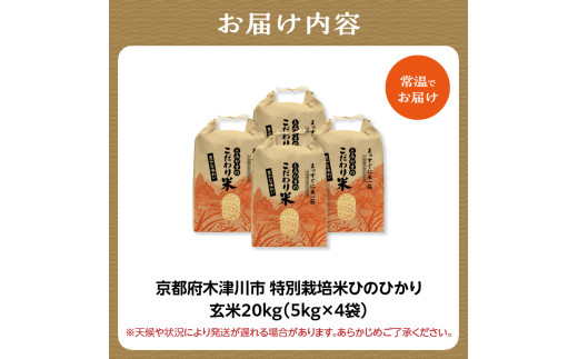特別栽培米 京都府木津川市産ひのひかり 玄米20kg 毎日の健康に【053-43】