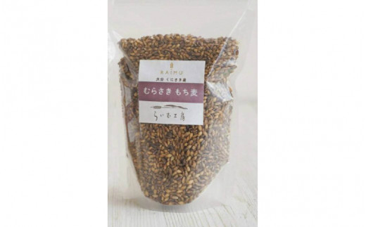 くにさき紫もち麦1.5kg（1050R）_イメージ3