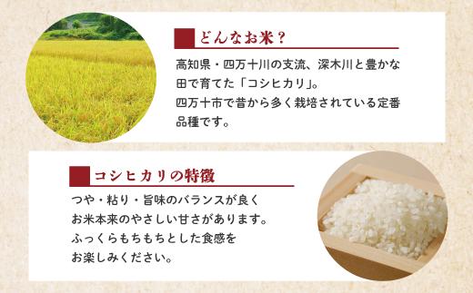 【令和6年産】四万十のかおり5kg＆四万十のこしひかり5kgの食べ比べセット（合計10kg）6-156