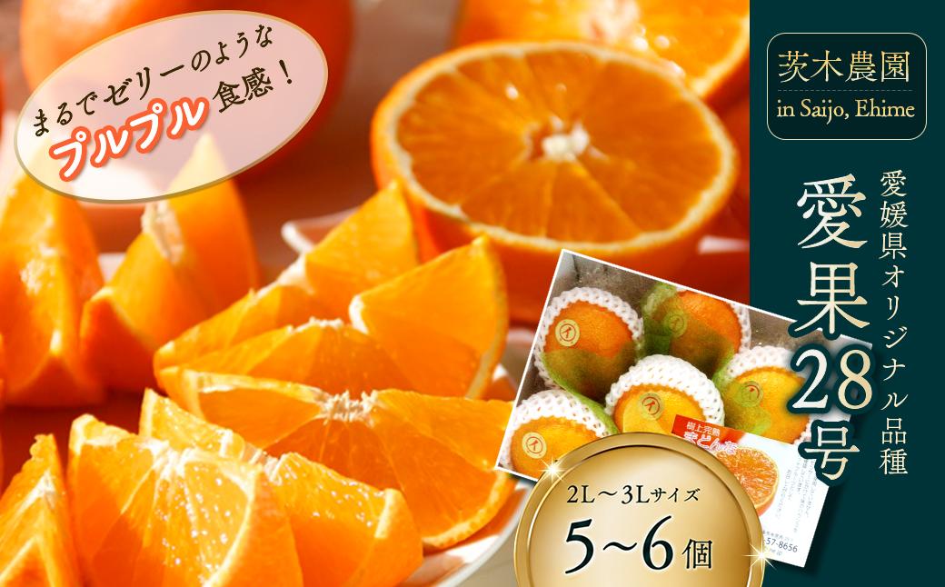
                  愛果28号 あいか （紅まどんなと同品種） 小箱（5～6個） 愛媛県西条市 茨木農園  【先行予約・12月中旬～12月下旬頃発送】｜ 樹上完熟 愛果28 愛媛 みかん あいか あいか28号  紅マドンナ 紅まどんな と同品種 光センサー 高級 柑橘 果物 贈答 くだもの フルーツ 数量限定 農家直送 産地直送
                
