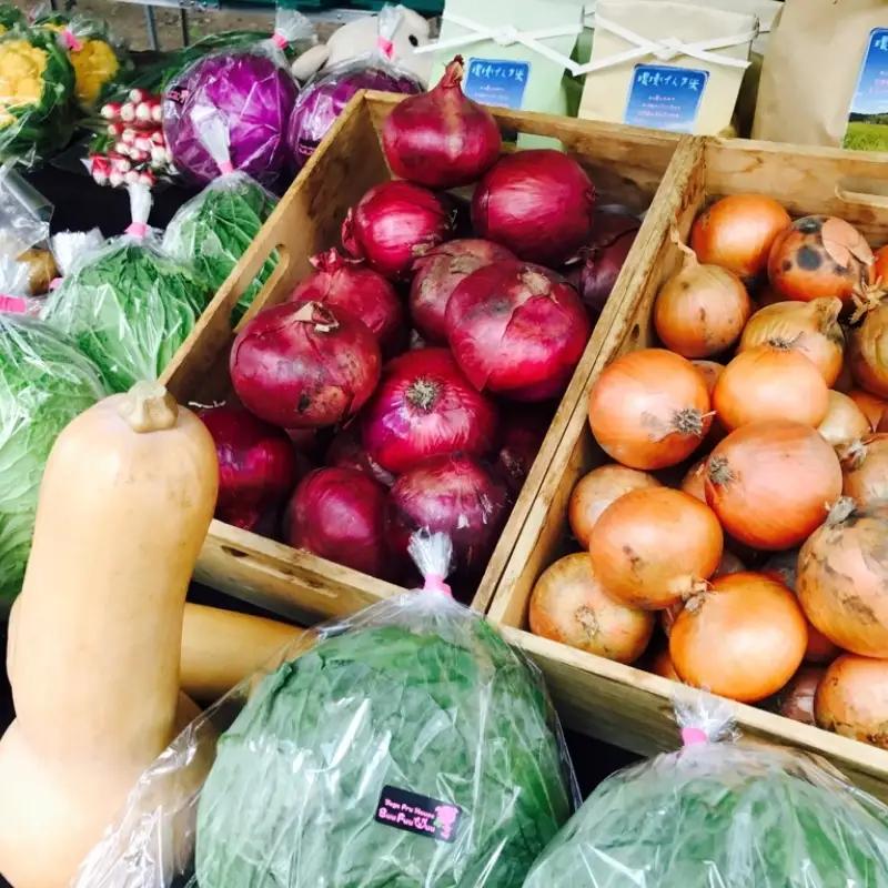 農業姉妹がこだわって栽培！ 白米5kgと旬の野菜詰め合わせ8種 1年定期便【024A-029】