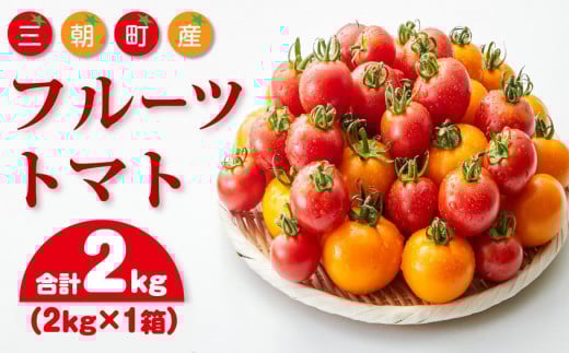 
【先行予約】フルーツトマト 三朝町産 2kg × 1箱
