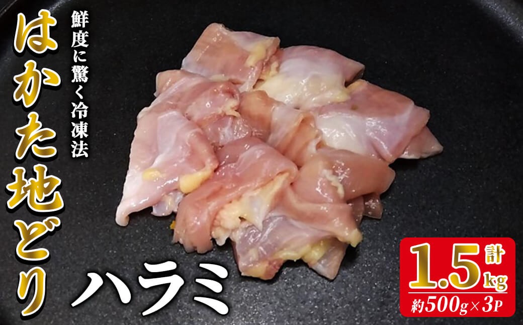 
                  はかた地どり ハラミ (計1.5kg・500g×3P) 真空パック 希少部位のはらみ 便利な小分け鶏肉 地鶏 地どり 鶏肉 九州 国産 ハラミ肉 鶏ハラミ チキン お肉 希少部位 小分け 冷凍 急速冷凍＜離島配送不可＞【ksg1907】【E2C】
                