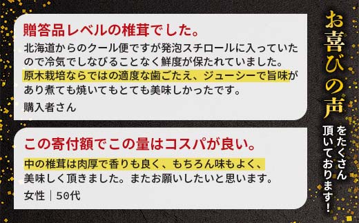 【先行予約】2026年5月以降順次発送 原木栽培 生椎茸 約1kg 里の恵 しいたけ シイタケ きのこ キノコ 椎茸 野菜  F21W-572