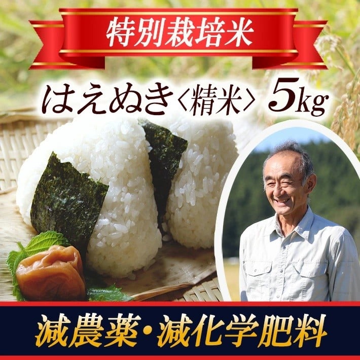 
                  はえぬき 5kg×1袋 令和7年産米 特別栽培米 山形県遊佐産 鳥海山の恵 東北 遊佐町 庄内地方 庄内平野 米 お米 精米 白米 庄内米 ごはん ご飯

                