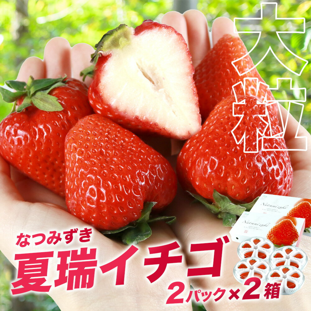 【ふるさと納税】2026年発送☆【夏イチゴ】奇跡のひと粒「夏瑞」4パックセット東神楽ふるさと納税 北海道ふるさと納税 イチゴ 東神楽産いちご【E101】 果物 フルーツ 苺 国産 北海道産 予約