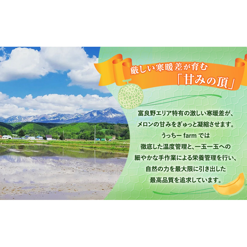 【令和8年産】富良野 高糖度 赤肉メロン 2玉 1玉 約1.6kg ～ 2.0kg うっちーfarm 北海道 メロン かみふらの フルーツ 上富良野_イメージ3
