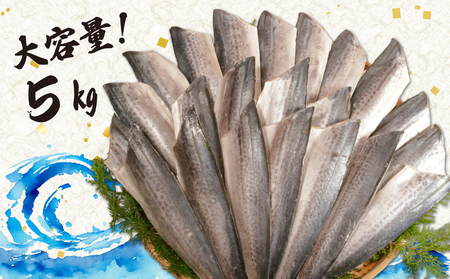 汐さわら 昆布エキス仕込 約5kg さわら さわら さわら さわら さわら エドノフーズ
