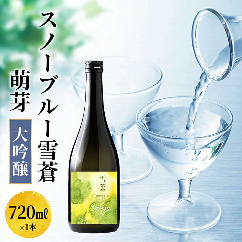 【ふるさと納税】日本酒 スノーブルー雪蒼 萌芽 大吟醸　720ml お酒 かじや