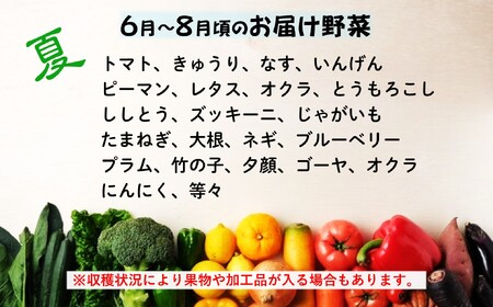 定期便6ヶ月 旬の野菜セットA(６品以上) I0089