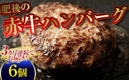 【3カ月定期】肥後の赤牛ハンバーグ（150g×6個） FKP9-595