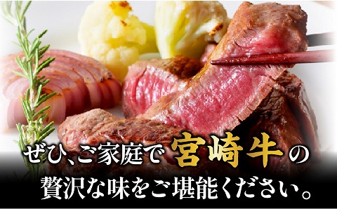【宮崎牛】ヒレ ステーキ150g×3 |牛肉 牛 肉  ヒレ ひれ ステーキ フィレ ヘレ
