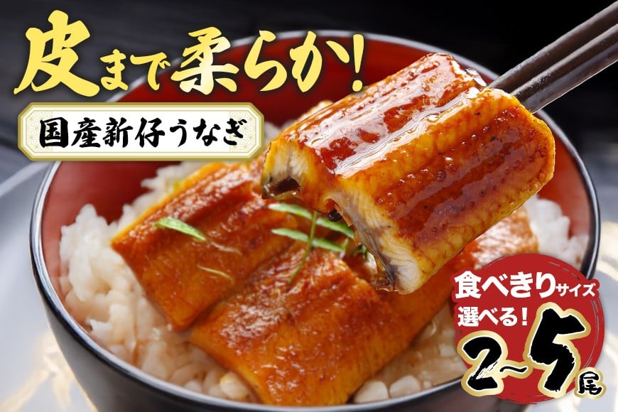 
                  やわらか国内産 うなぎ蒲焼 食べ切りサイズ! 選べる 2尾～5尾 (100～120g×2尾～5尾) ふっくら蒲焼き ブランド鰻使用 秘伝のタレ・山椒付き 湯煎で簡単調理 うな丼 ちらし寿司 贈答用 ギフト 冷蔵配送 国産 茨城県 潮来市
                