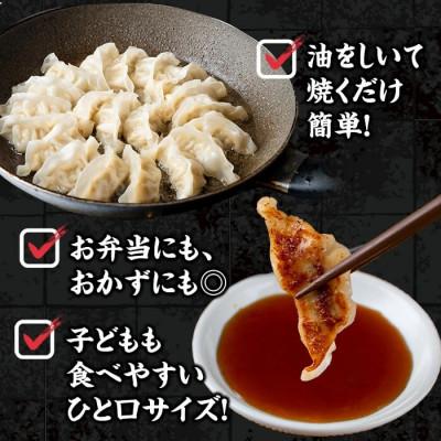 ふるさと納税 垂水市 鹿児島県産 桜島 美湯豚 ひと口 餃子 計80個【大隅ミート産業】A1-0419 |  | 02
