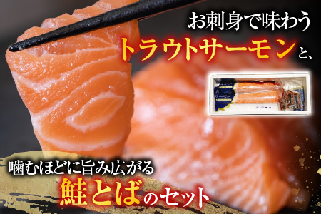 お刺身トラウトサーモン2～3本(計700g)＆鮭とば100g×1P A-09123