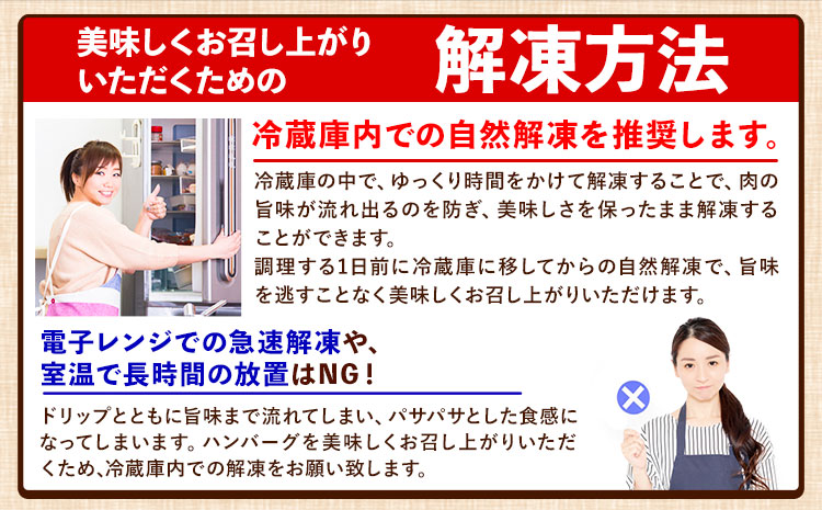 ハンバーグ 大容量 10個 クール便 黒毛 和牛 100% 生ハンバーグ 《30日以内に出荷予定(土日祝除く)》 黒毛和牛 冷凍 牛肉 牛 ビーフ ハンバーグ 牛肉100% 黒毛和牛ハンバーグ