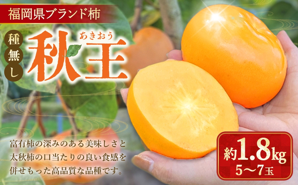 
                   福岡県ブランド柿 秋王 5～7玉 約1.8kg 種無し 【2026年11月上旬～12月上旬発送予定】 柿 かき カキ 秋王  たね無し ブランド柿 甘柿 池尻農園
                