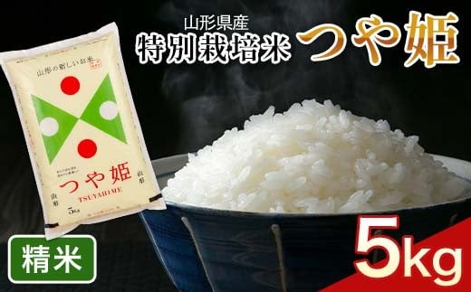 
            FYN6-161 令和6年度 山形県産 特別栽培米 つや姫 5kg 白米 精米 米米 米 ごはん ブランド米 特栽 つやひめ 2024年 贈答 贈り物 ギフト 自宅 家庭 山形県 西川町 月山
          