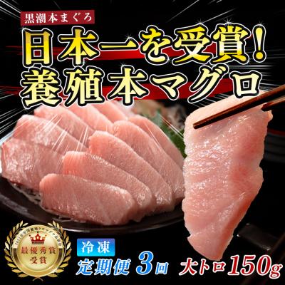 ふるさと納税 大月町 まぐろ マグロ 本鮪 黒潮本まぐろ 大トロ 定期便 3回 150g × 3回 刺身 冷凍 産地直送