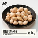 【ふるさと納税】 山形県産 銀杏 殻付き 2L 約1kg（200g×5パック） 2024年10月上旬から順次発送 ぎんなん おつまみ 真空パック 個包装 小分け 秋 野菜 送料無料 F20A-731