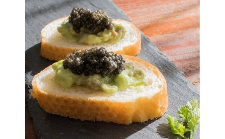 【定期便】「ジャパンキャビア」MIYAZAKI CAVIAR 1983　100ｇ×12ヶ月　鮎のよしの＜216-1＞