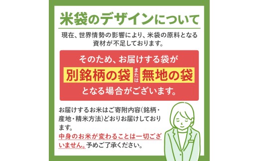 令和7年産 熊本県産 ひのひかり 無洗米 30kg | 小分け 5kg × 6袋  熊本県産 特A獲得品種 米 無洗米 ごはん 銘柄米 ブランド米 単一米 人気 日本遺産 菊池川流域 こめ作り ごはん ふるさと納税 返礼品