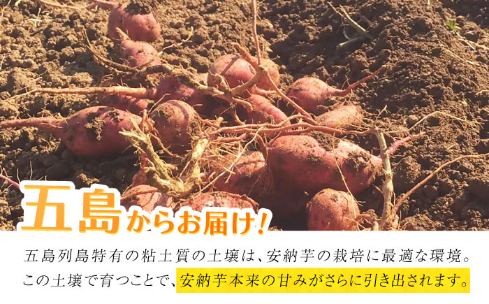 こばさんちの安納芋Lサイズ2kg 五島市/五島こばさんち農園 [PGW001]