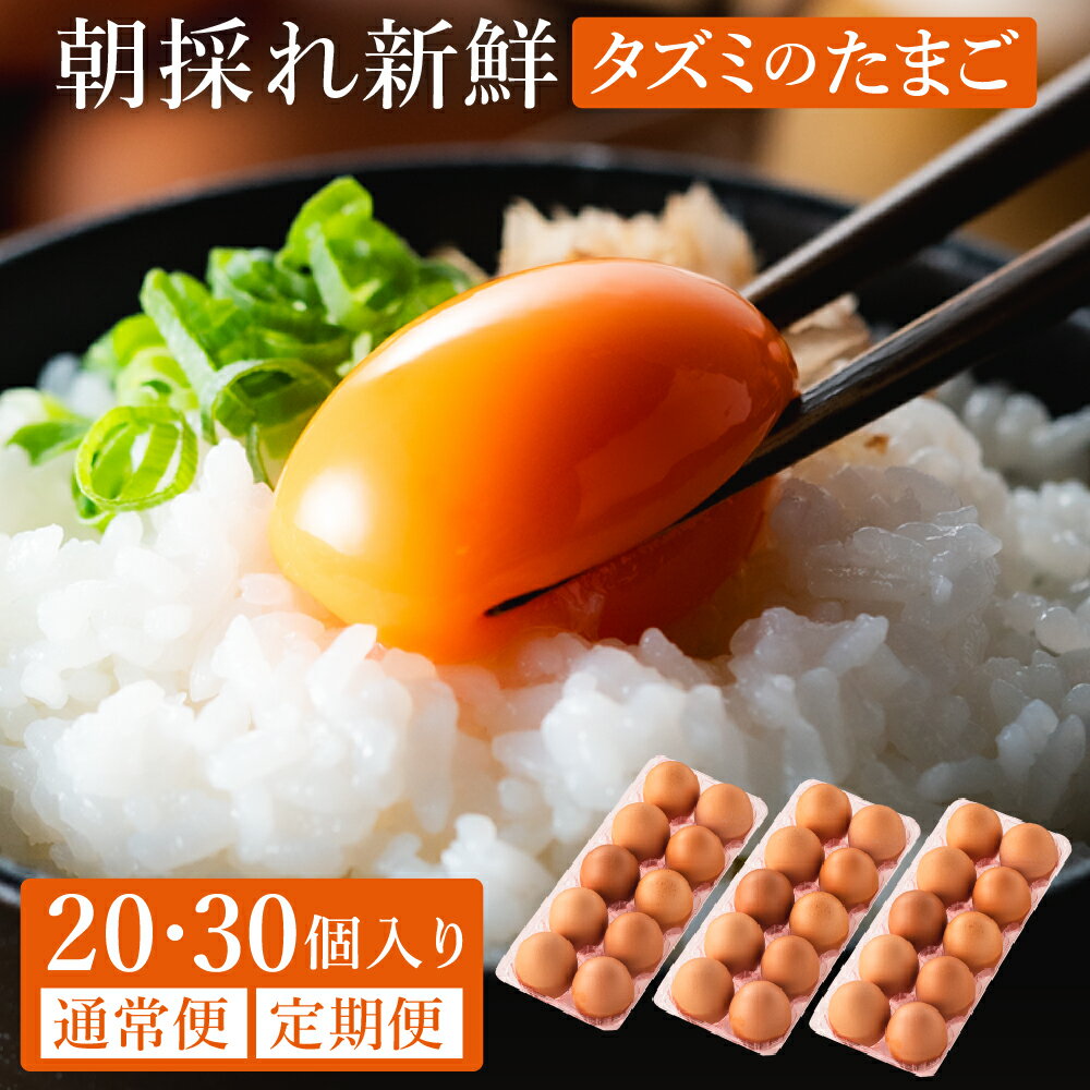 タズミの卵 定期便 全3回 Mサイズ（30個×3ヶ月）