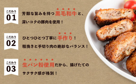 冷凍メンチカツ  20個入り　【有限会社横須賀松坂屋】[AKCY014]