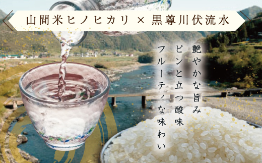 【数量限定】【 幻の酒 生酒 】純米吟醸 山間米酒「やま」一升 お酒 酒 さけ 新酒 冷酒 無濾過 お取り寄せ 日本酒 米 プレゼント 贈り物 ギフト 高知 高知県 四万十市 四万十 しまんと【2月下