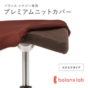バランスシナジー専用プレミアムニットカバー（ダークブラウン）スクエアシート用 はっ水加工【 チェアカバー 椅子カバー チェアカバー 椅子カバー チェアカバー 椅子カバー チェアカバー 椅子カバー 】
