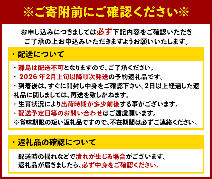 ＜先行予約受付中！2026年2月上旬以降順次発送予定＞博多 あまおう《春》 (計500g・250g～270g×2パック) いちご イチゴ 苺 ストロベリー 果物 フルーツ おやつ デザート 冷蔵 アマ