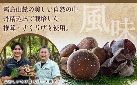 香り立つ!!「きのこ餃子」120個_16-8701_(都城市) ギョウザ 12個入り 10パック 無農薬栽培 椎茸 きくらげ 都城産ブランド豚 きなこ豚 きゃべつ ニラ ニンニク使用 ヘルシー餃子 大