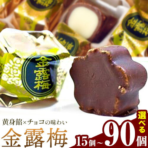 【ふるさと納税】 和菓子 黄身餡子 チョコレート 金露梅 選べる 15個 30個 45個 60個 90個 あづまや製菓有限会社 《30日以内に出荷予定(土日祝除く)》 徳島県 美馬市 阿波 郷土銘菓 自家製黄身餡 チョコ 名誉総裁賞 茶道家元賞 贈り物 お茶請け