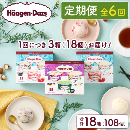 ＜全6回定期便・連続＞ハーゲンダッツ『アソートボックス3箱セット(合計18箱)』アイスクリーム アイス スイーツ デザート_H0016-148