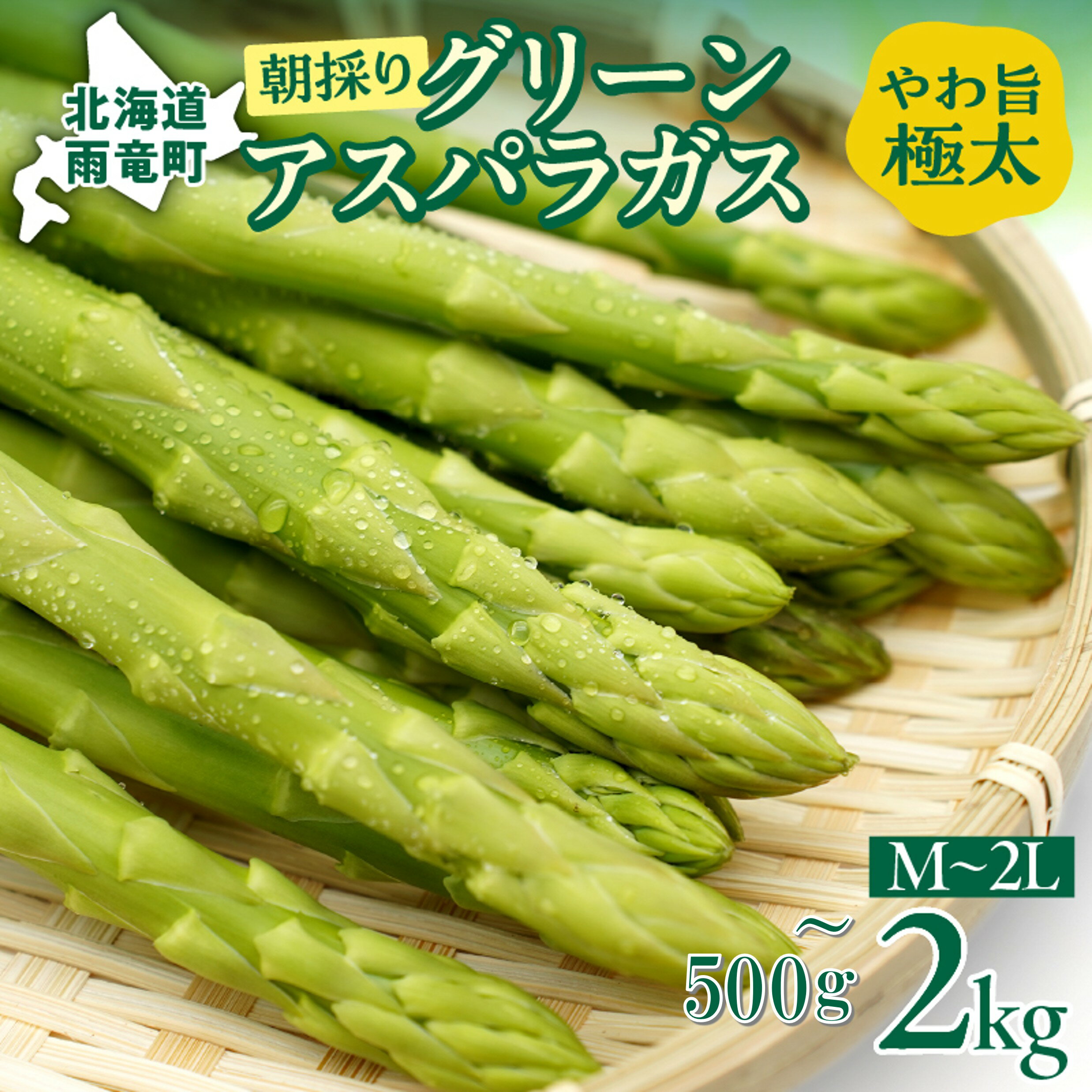 【ふるさと納税】2026年発送 朝採りグリーンアスパラ【 内容量が選べる! 】＜ 川越農場 ＞野菜 春 夏 北海道アスパラ 雨竜町産 パスタ サラダ スープ 旬 やわ旨