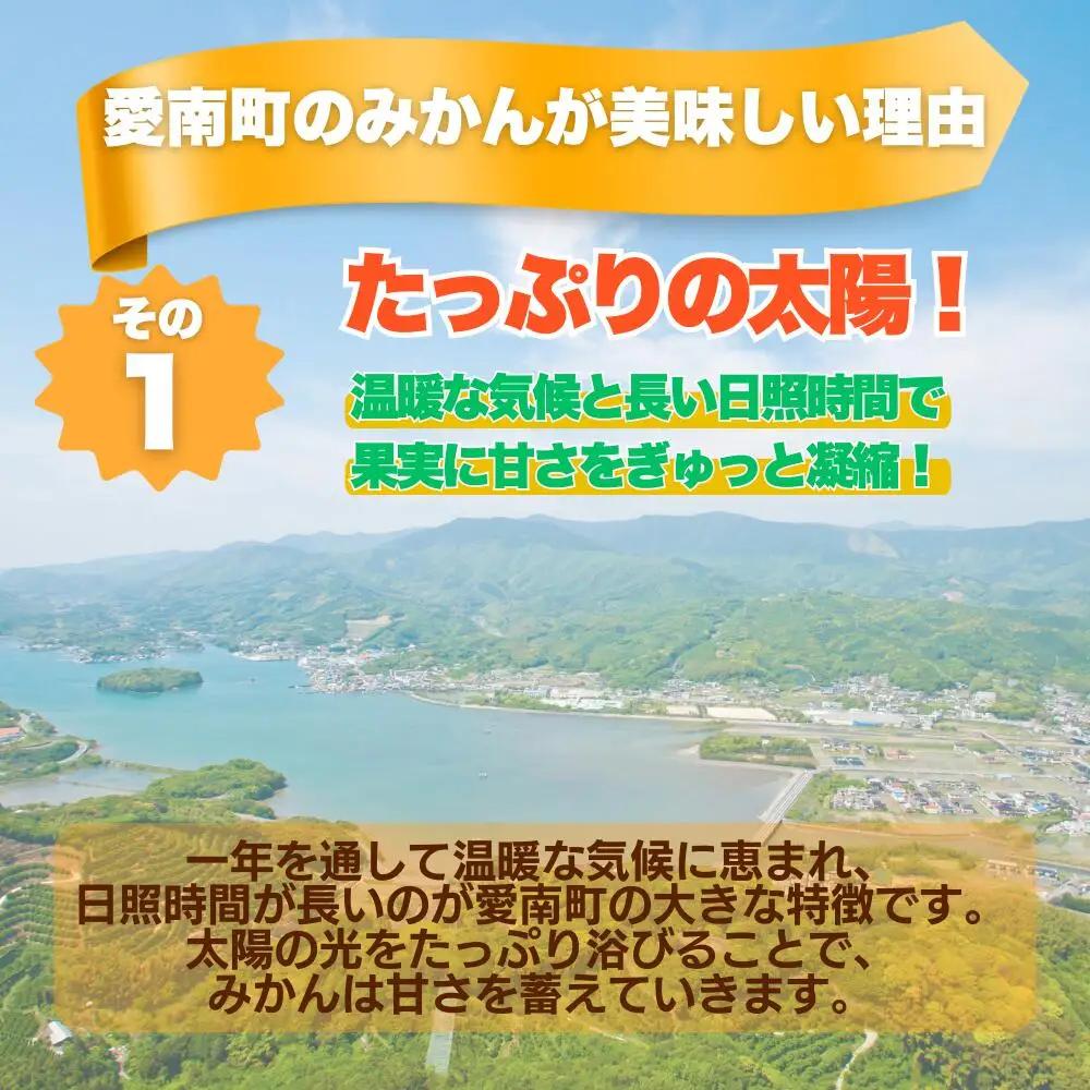 【先行予約】 訳あり 愛媛 みかん 5kg  みかん 愛なんよ